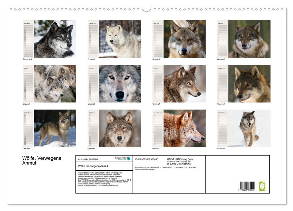 Wölfe. Verwegene Anmut (CALVENDO Wandkalender 2026)
