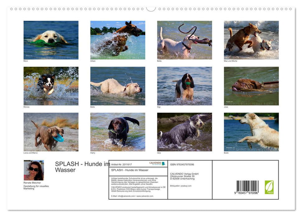 SPLASH - Hunde im Wasser (CALVENDO Premium Wandkalender 2026)