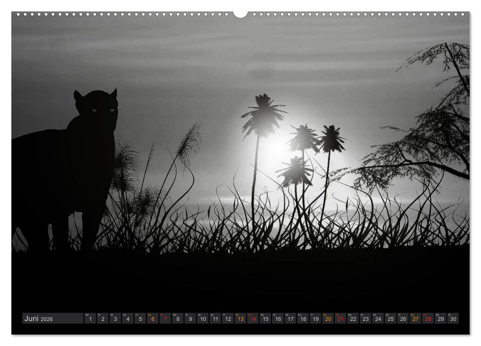 Sonne und Mond - faszinierend und anziehend (CALVENDO Premium Wandkalender 2026)