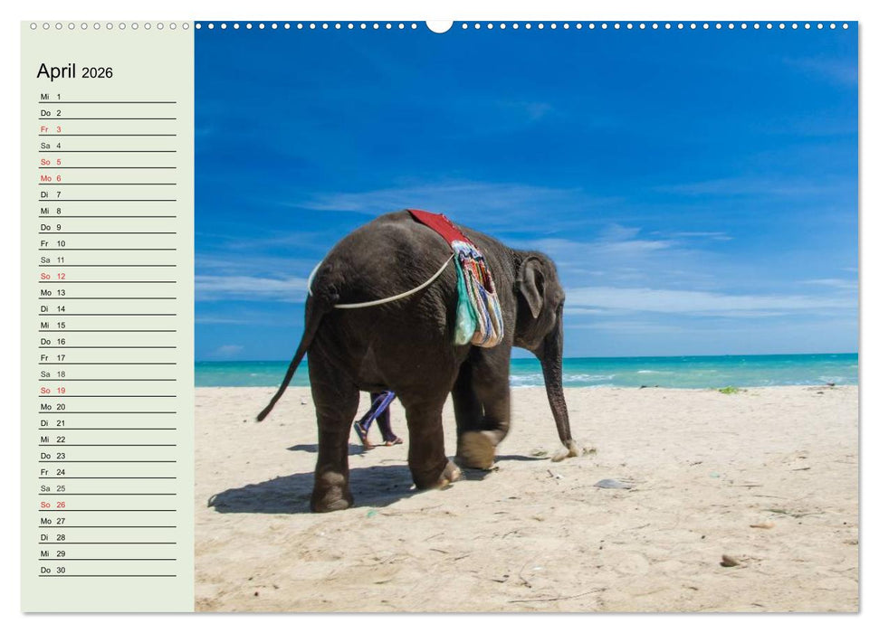 Elefanten. Badespaß am Strand (CALVENDO Wandkalender 2026)