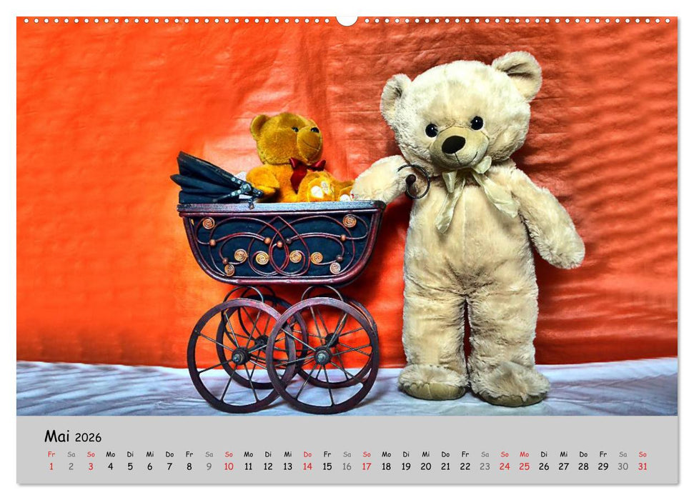 TEDDYBÄR, OH TEDDYBÄR... (CALVENDO Wandkalender 2026)