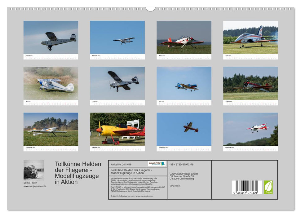 Tollkühne Helden der Fliegerei - Modellflugzeuge in Aktion (CALVENDO Premium Wandkalender 2026)
