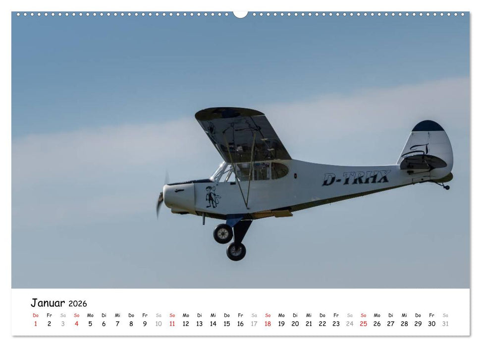 Tollkühne Helden der Fliegerei - Modellflugzeuge in Aktion (CALVENDO Premium Wandkalender 2026)