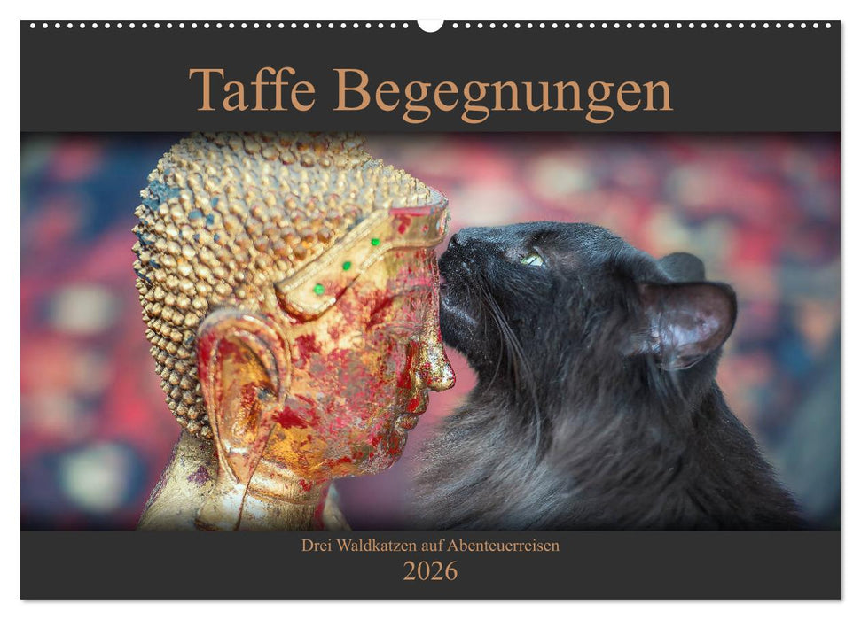 Taffe Begegnungen-Drei Waldkatzen auf Abenteuerreisen (CALVENDO Wandkalender 2026)