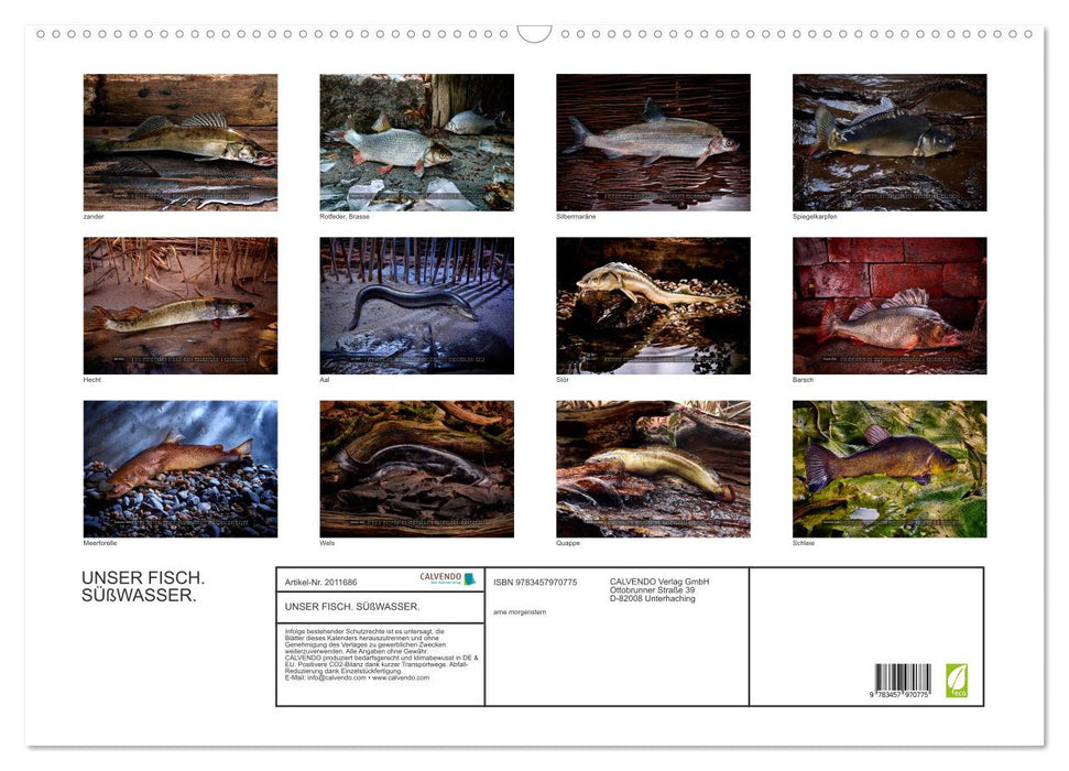 UNSER FISCH. SÜßWASSER. (CALVENDO Wandkalender 2026)