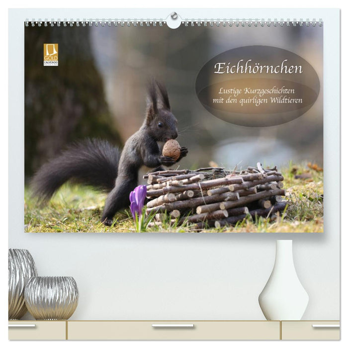 Eichhörnchen - Lustige Kurzgeschichten mit den quirligen Wildtieren (CALVENDO Premium Wandkalender 2026)