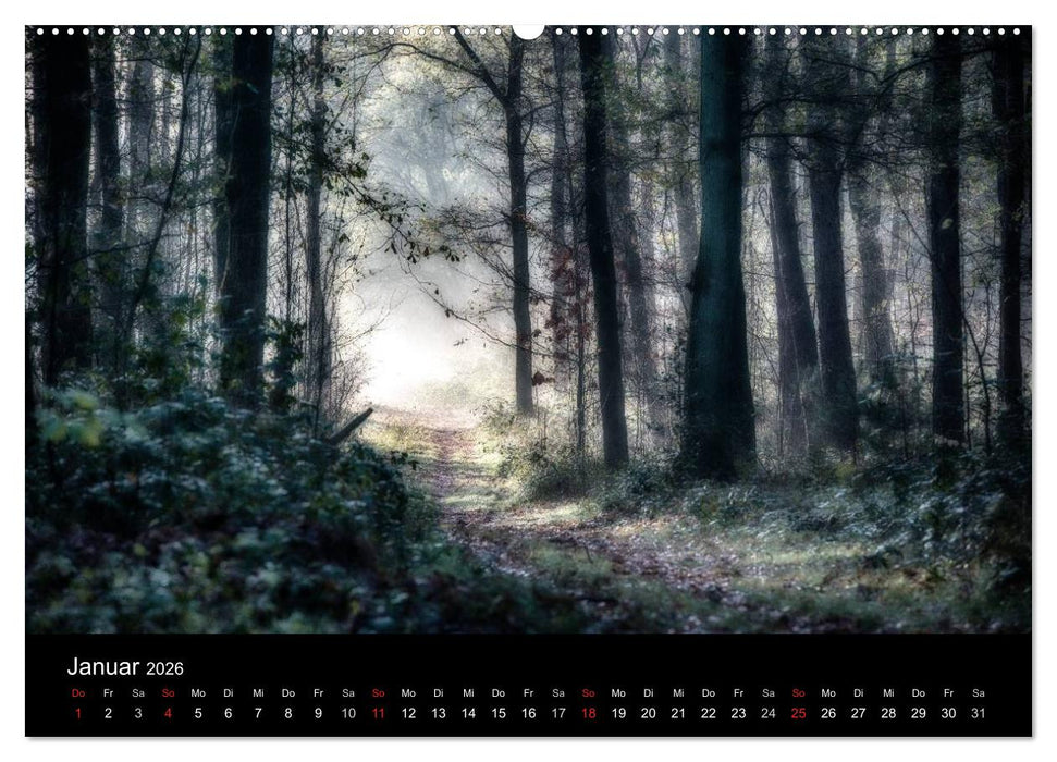 Mystische Wälder (CALVENDO Premium Wandkalender 2026)