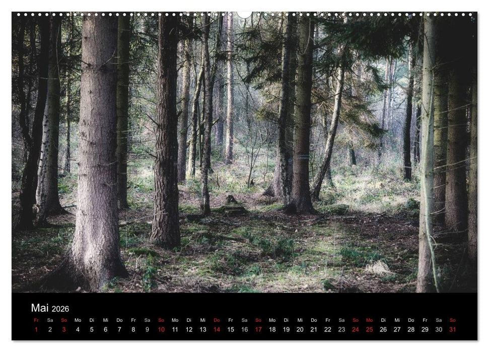 Mystische Wälder (CALVENDO Premium Wandkalender 2026)