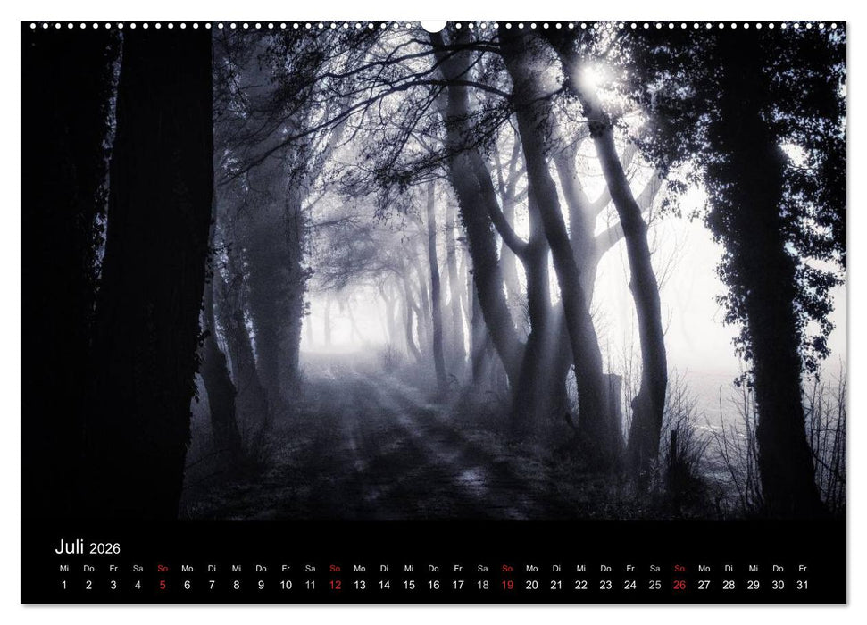Mystische Wälder (CALVENDO Premium Wandkalender 2026)