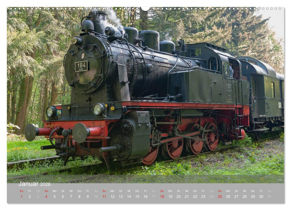 Für Liebhaber des Dampfes (CALVENDO Wandkalender 2026)