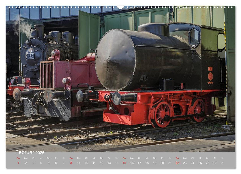 Für Liebhaber des Dampfes (CALVENDO Wandkalender 2026)
