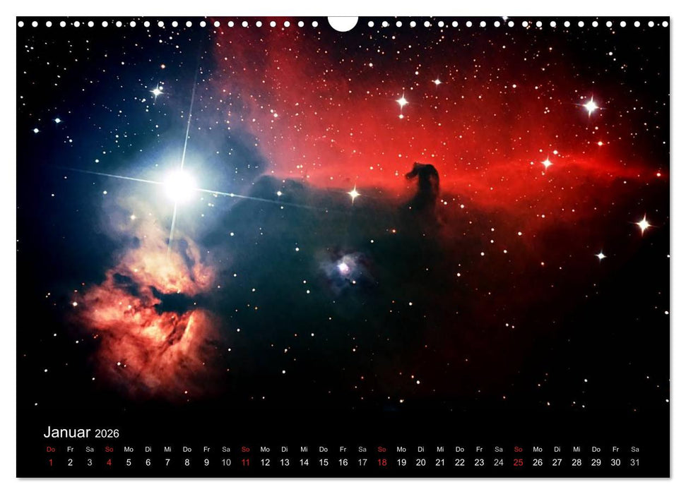Die Galaxie im Garten (CALVENDO Wandkalender 2026)