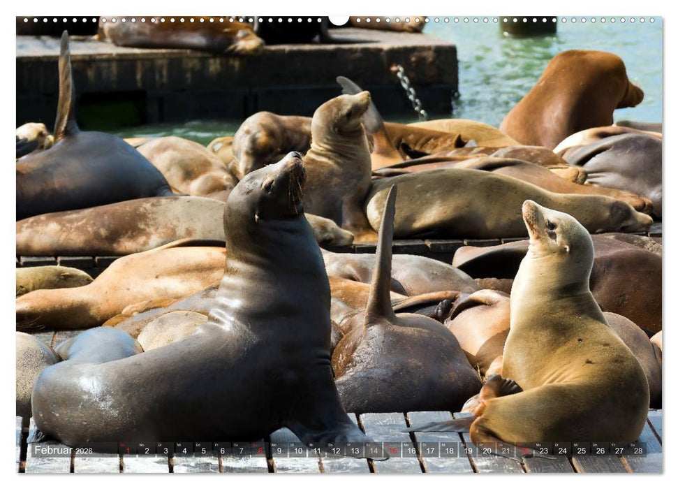 KALIFORNIEN Küstenimpressionen (CALVENDO Wandkalender 2026)