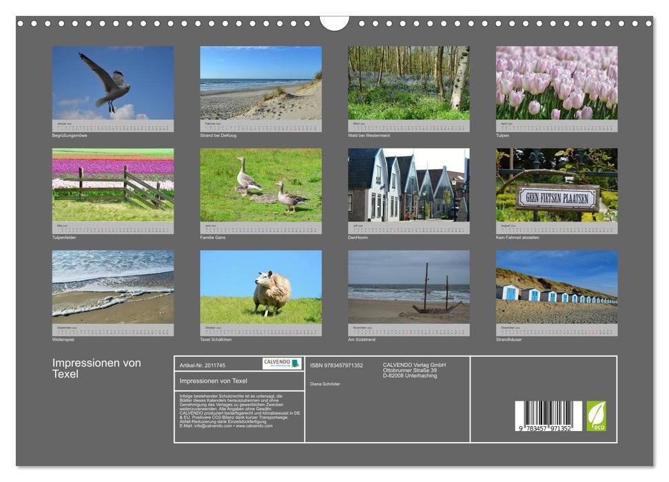 Impressionen von Texel (CALVENDO Wandkalender 2026)