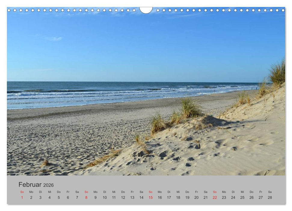 Impressionen von Texel (CALVENDO Wandkalender 2026)