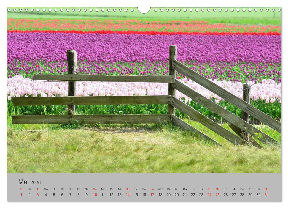 Impressionen von Texel (CALVENDO Wandkalender 2026)