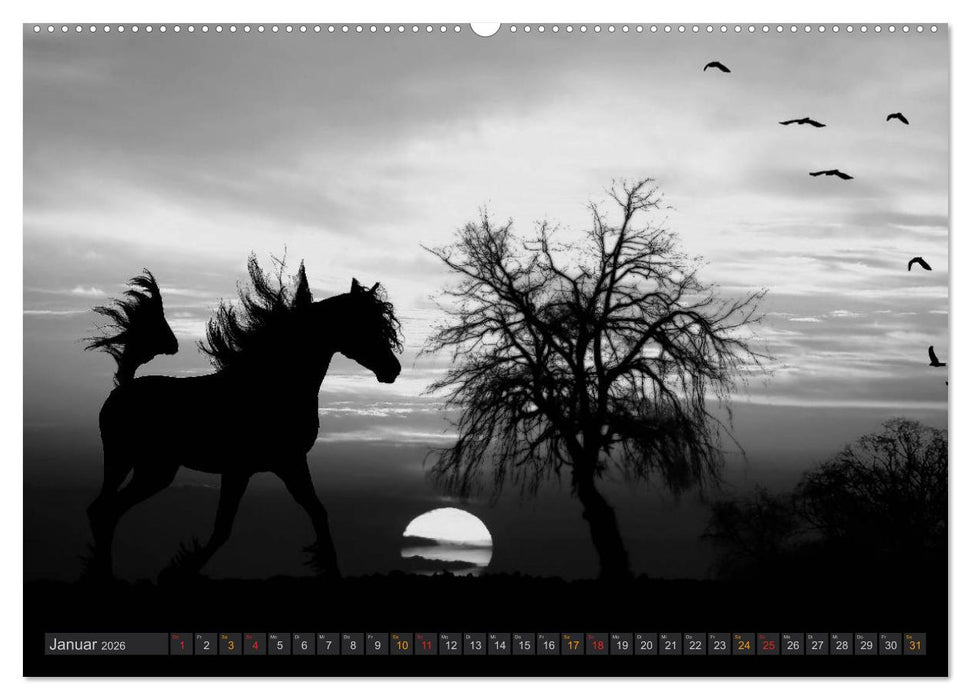 Sonne und Mond - faszinierend und anziehend (CALVENDO Wandkalender 2026)