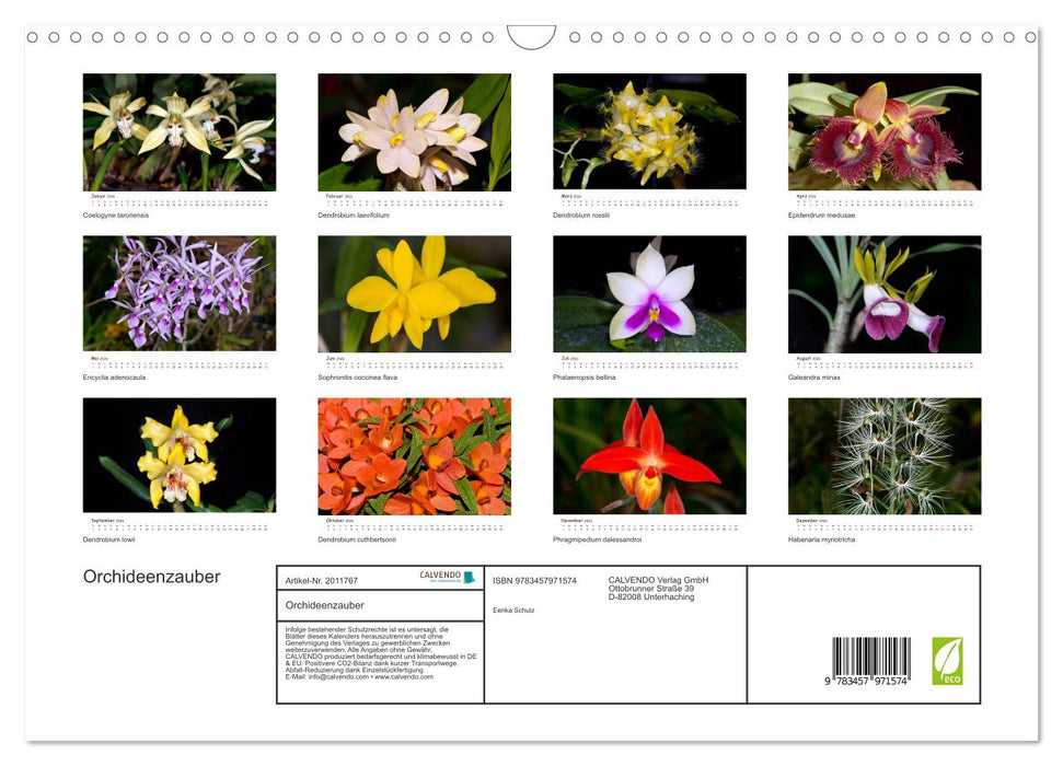 Orchideenzauber (CALVENDO Wandkalender 2026)