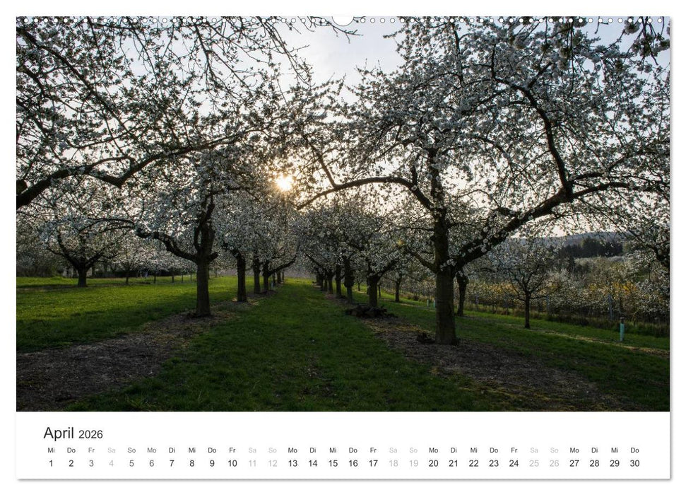 Du schönes Wiesbaden (CALVENDO Premium Wandkalender 2026)