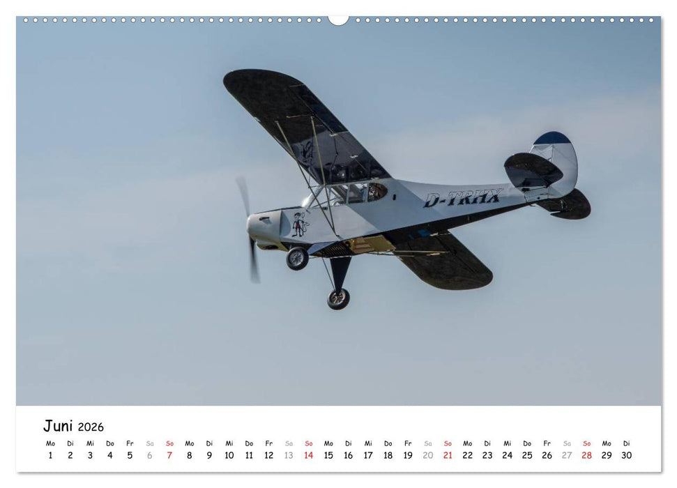 Tollkühne Helden der Fliegerei - Modellflugzeuge in Aktion (CALVENDO Wandkalender 2026)