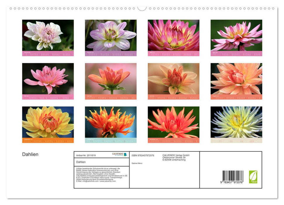 Dahlien (CALVENDO Premium Wandkalender 2026)