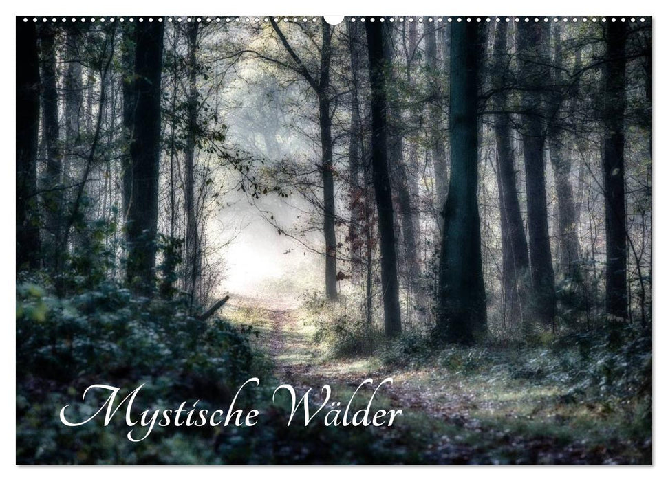 Mystische Wälder (CALVENDO Wandkalender 2026)