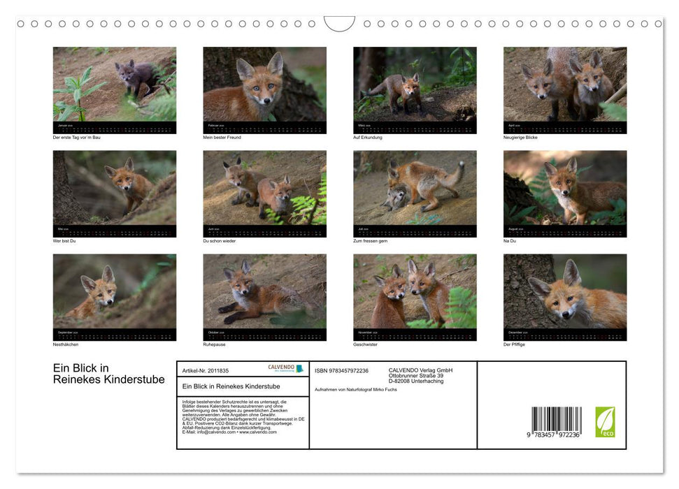 Ein Blick in Reinekes Kinderstube (CALVENDO Wandkalender 2026)