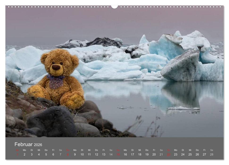 Travelling Teddy 2026 (CALVENDO Premium Wandkalender 2026)