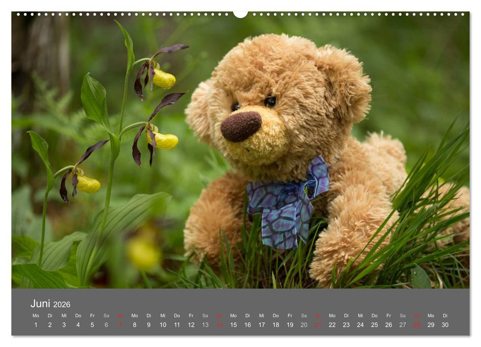 Travelling Teddy 2026 (CALVENDO Premium Wandkalender 2026)