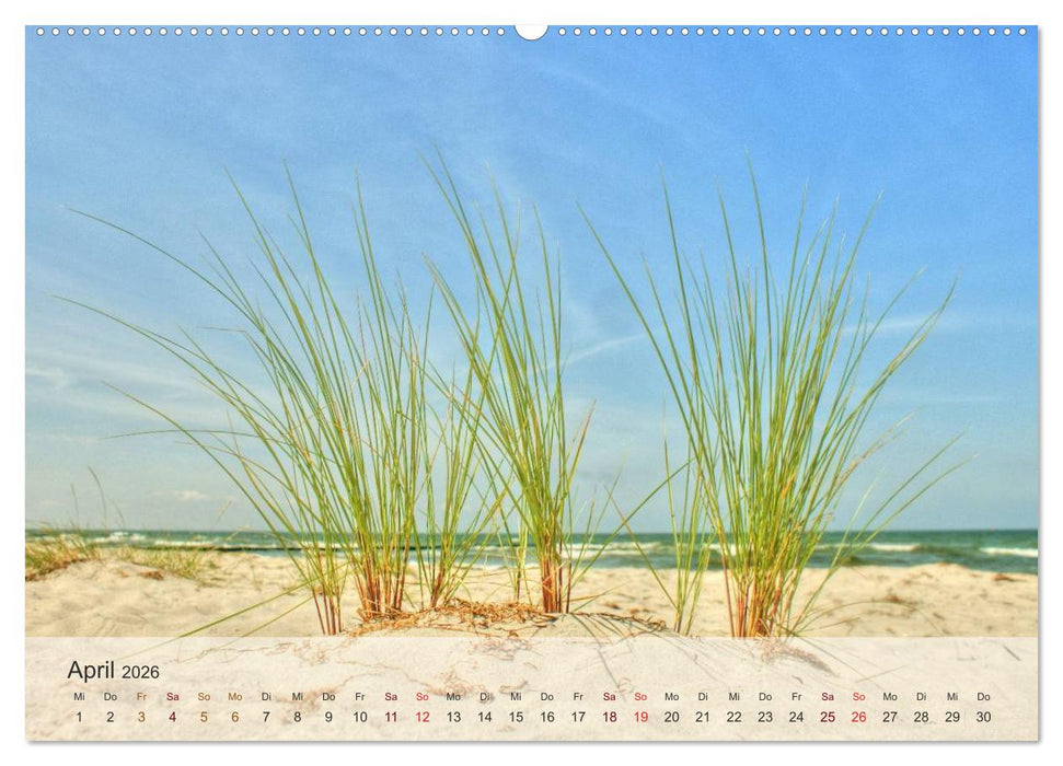 Insel Rügen und Hiddensee (CALVENDO Premium Wandkalender 2026)