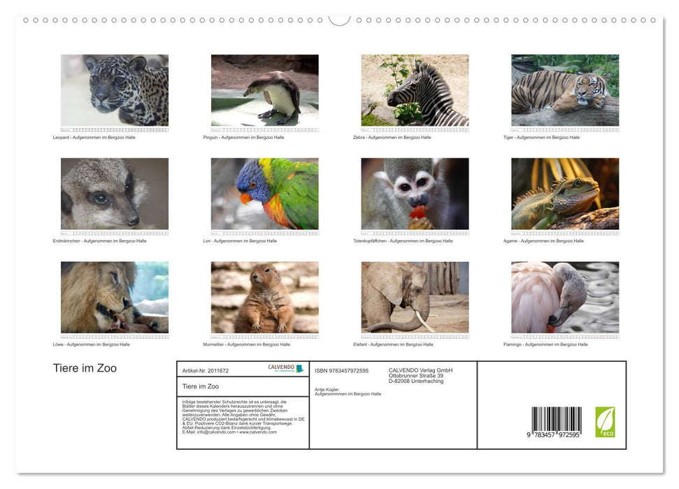 Tiere im Zoo (CALVENDO Premium Wandkalender 2026)