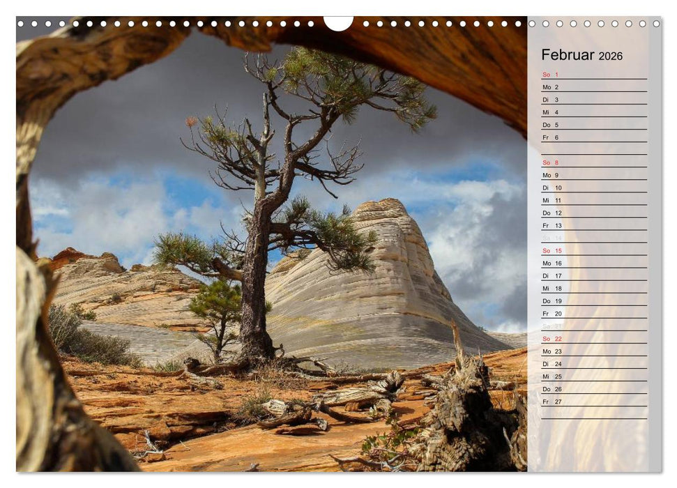 USA 2026 Utah - Sandstein und Canyons (CALVENDO Wandkalender 2026)