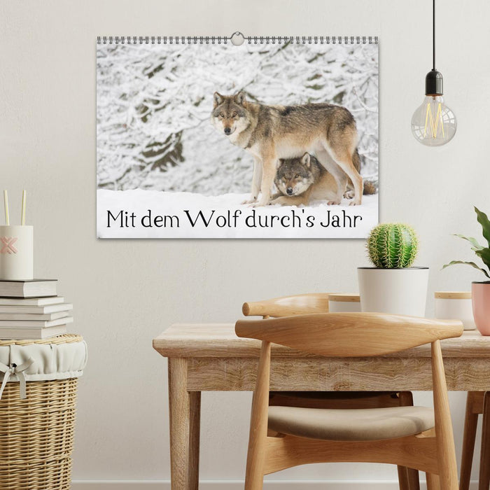 Mit dem Wolf durch's Jahr (CALVENDO Wandkalender 2026)