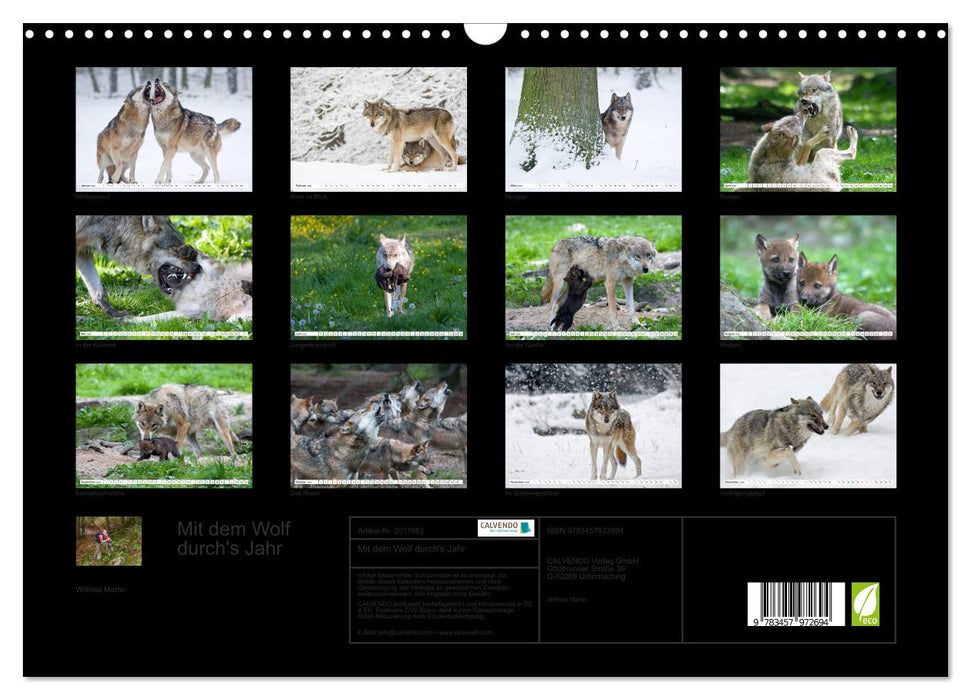 Mit dem Wolf durch's Jahr (CALVENDO Wandkalender 2026)