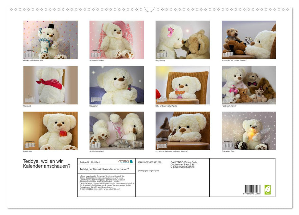 Teddys, wollen wir Kalender anschauen? (CALVENDO Wandkalender 2026)