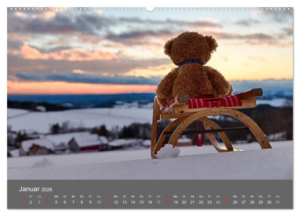 Travelling Teddy 2026 (CALVENDO Wandkalender 2026)