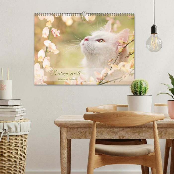 Katzen 2026 Bezaubernde Samtpfoten (CALVENDO Wandkalender 2026)