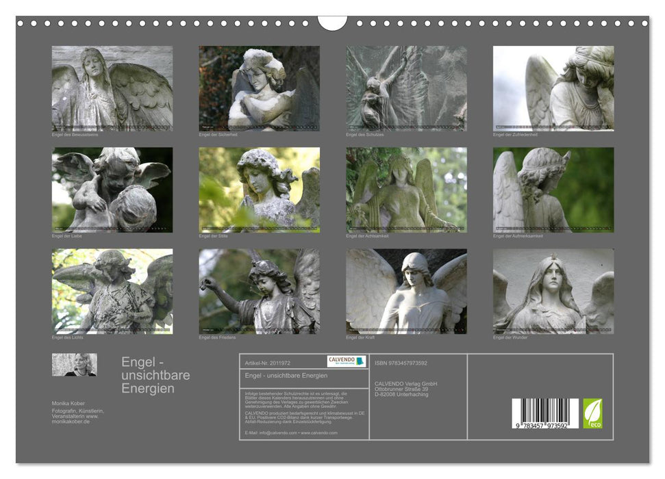Engel - unsichtbare Energien (CALVENDO Wandkalender 2026)