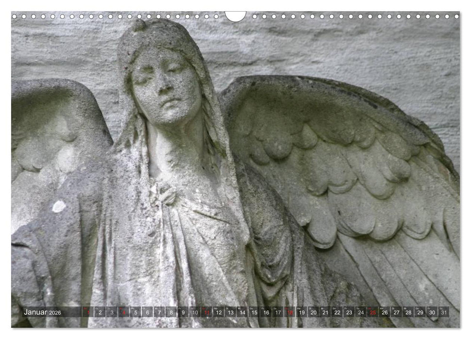 Engel - unsichtbare Energien (CALVENDO Wandkalender 2026)