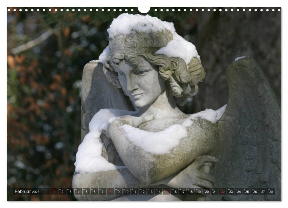 Engel - unsichtbare Energien (CALVENDO Wandkalender 2026)