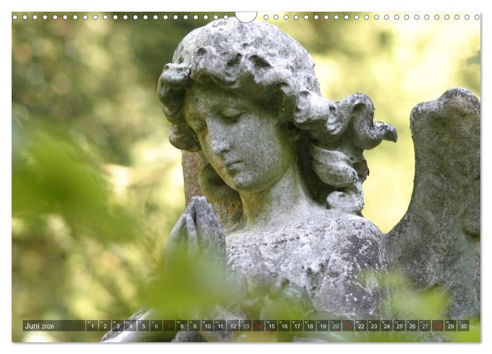 Engel - unsichtbare Energien (CALVENDO Wandkalender 2026)