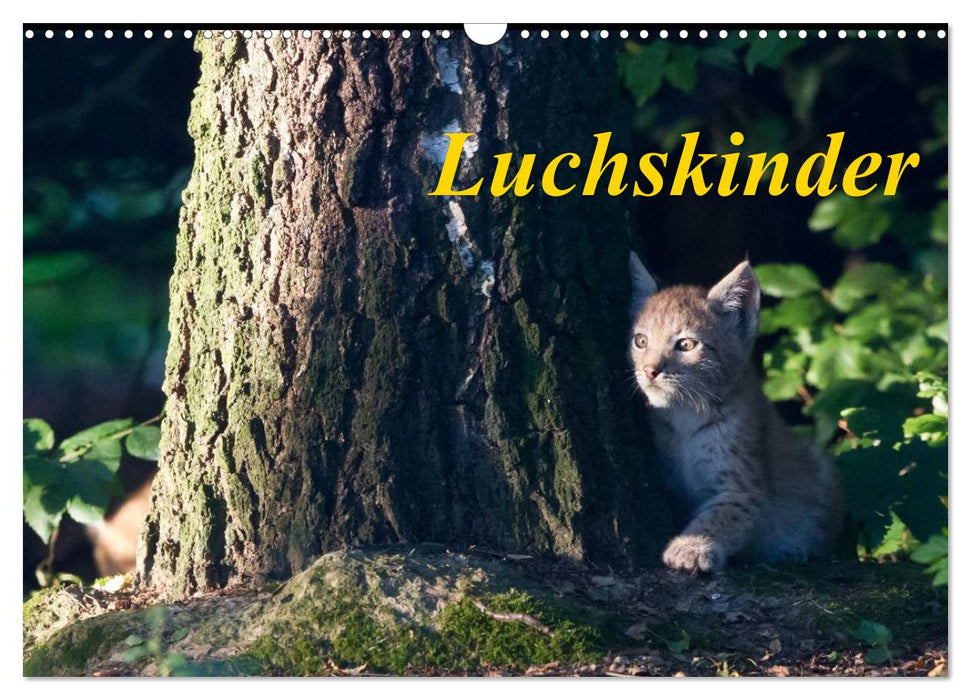 Luchskinder (CALVENDO Wandkalender 2026)