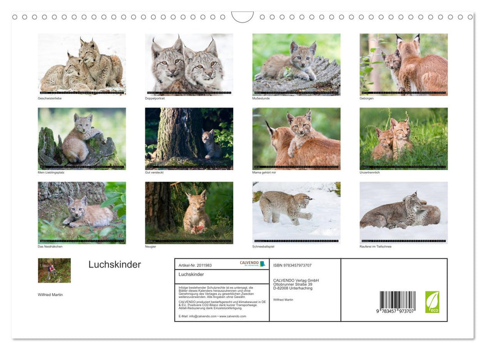 Luchskinder (CALVENDO Wandkalender 2026)