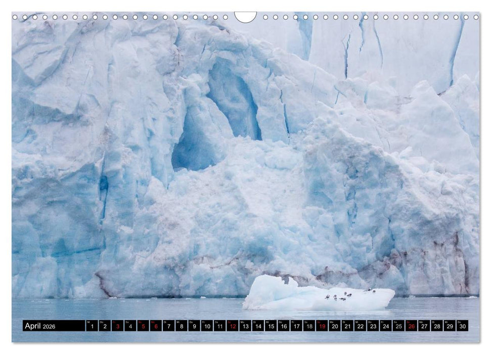 Spitzbergen - Arktische Impressionen (CALVENDO Wandkalender 2026)