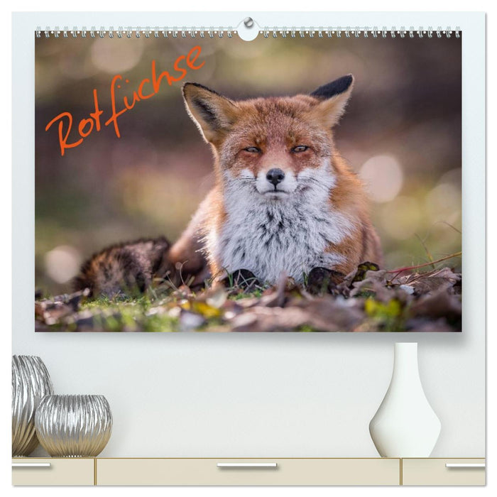 Rotfüchse (CALVENDO Premium Wandkalender 2026)