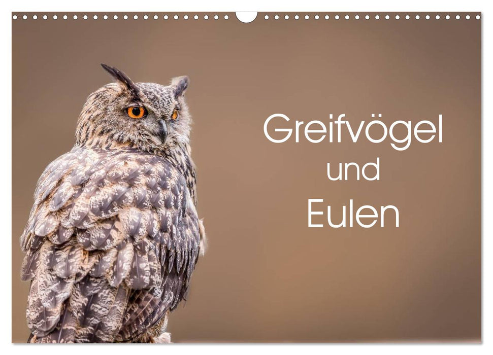 Greifvögel und Eulen (CALVENDO Wandkalender 2026)
