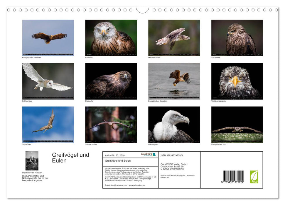 Greifvögel und Eulen (CALVENDO Wandkalender 2026)