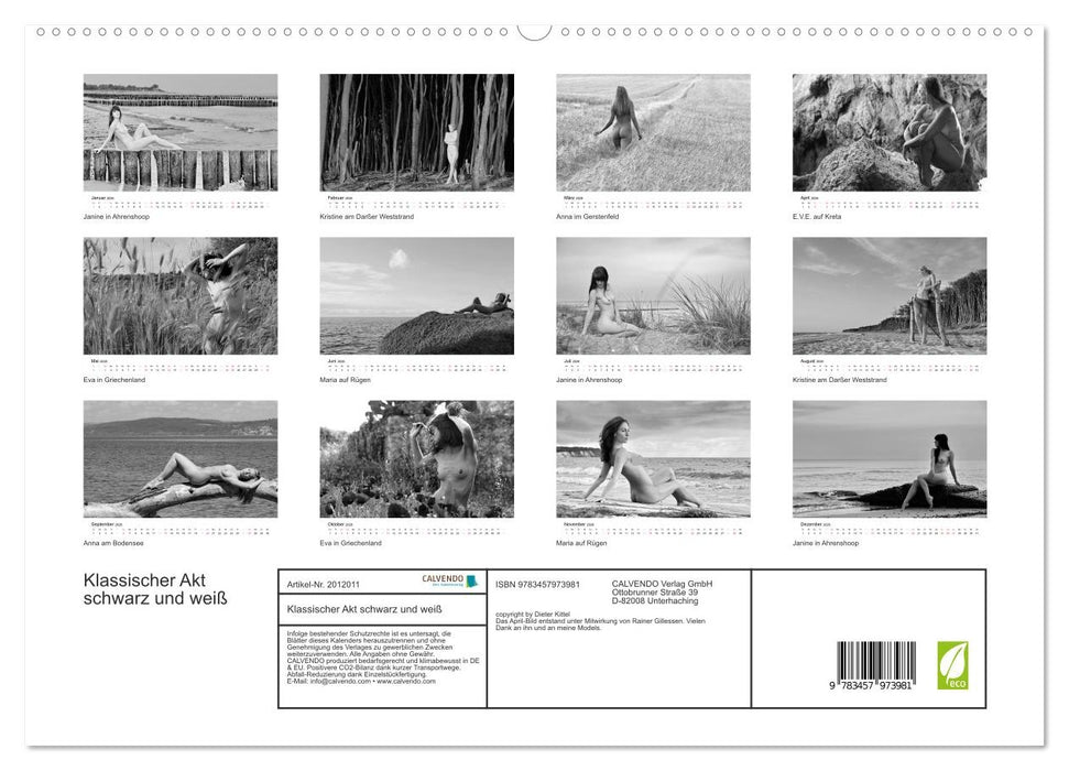 Klassischer Akt schwarz und weiß (CALVENDO Premium Wandkalender 2026)