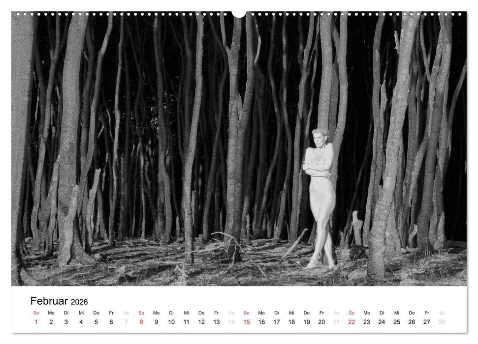 Klassischer Akt schwarz und weiß (CALVENDO Premium Wandkalender 2026)