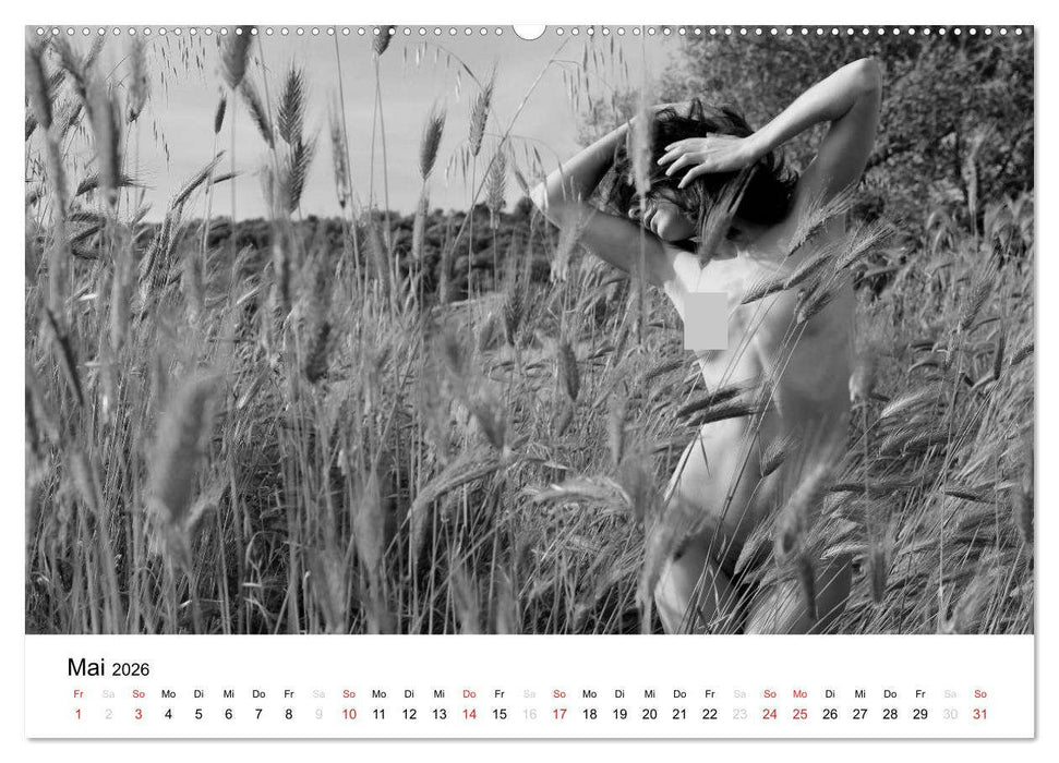 Klassischer Akt schwarz und weiß (CALVENDO Premium Wandkalender 2026)